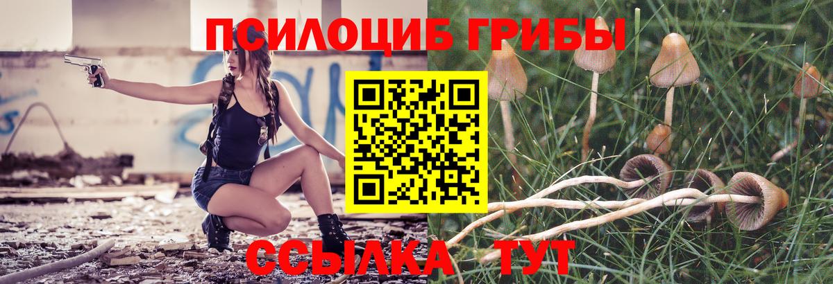 Галлюциногенные грибы Psilocybe Красноярск